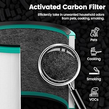 Amazon.com: Colorfullife 2 Pack Replacement Filter for Dyson